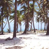  Half Moon Caye, Belize